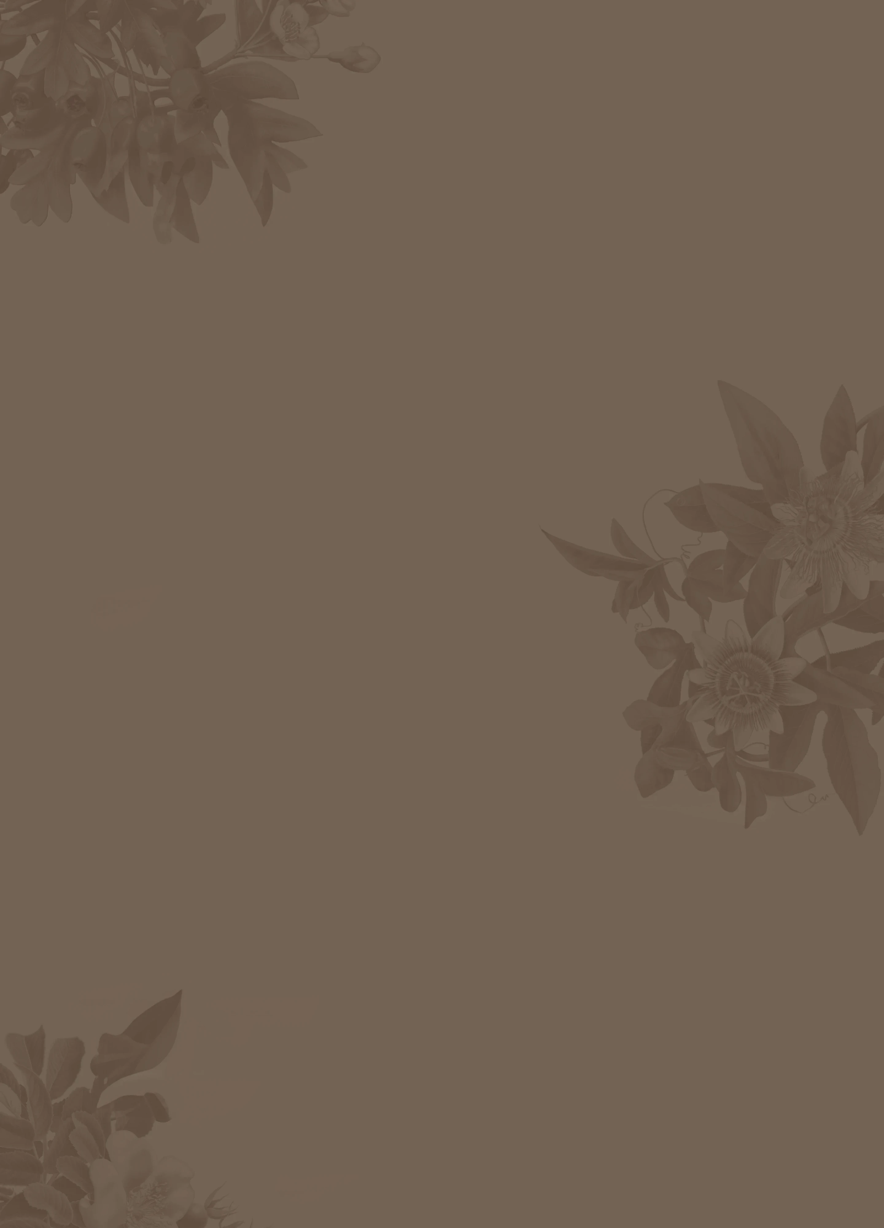 Alvita Tea botanical background